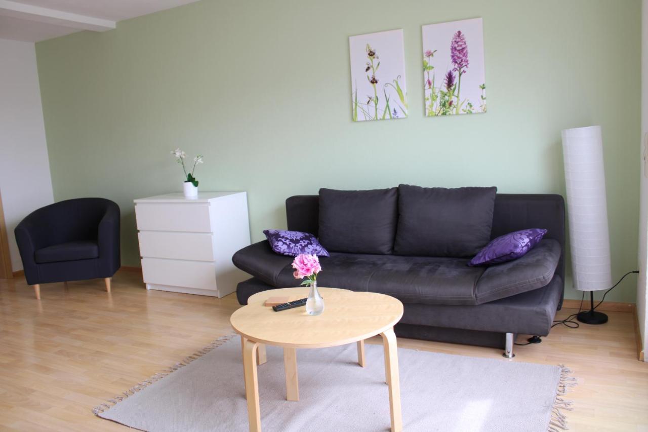 Winzerhof Senn Apartment Vogtsburg Ngoại thất bức ảnh