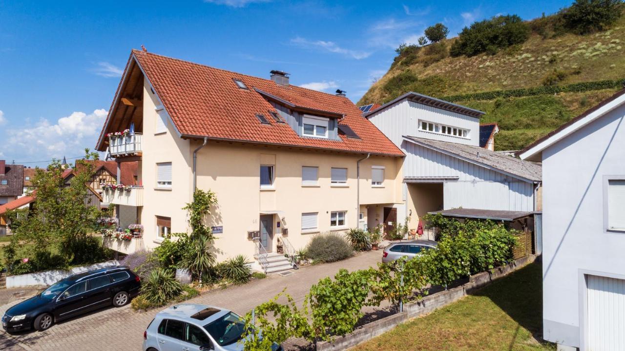 Winzerhof Senn Apartment Vogtsburg Ngoại thất bức ảnh