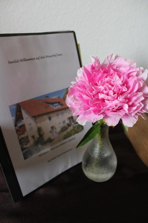 Winzerhof Senn Apartment Vogtsburg Ngoại thất bức ảnh