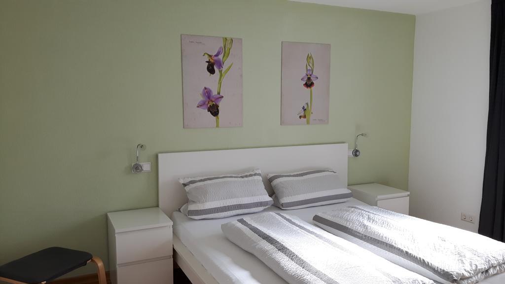 Winzerhof Senn Apartment Vogtsburg Ngoại thất bức ảnh