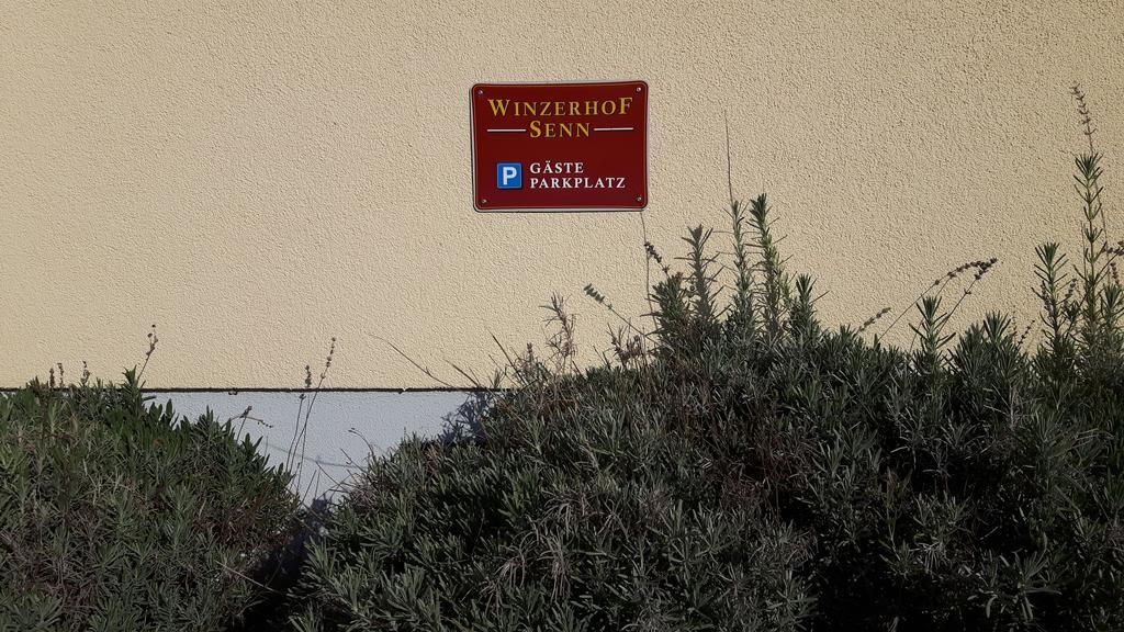 Winzerhof Senn Apartment Vogtsburg Ngoại thất bức ảnh